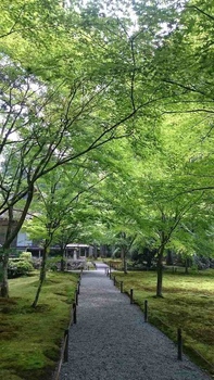 京都2-12.jpg