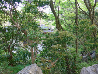 岡田庭園2.jpg