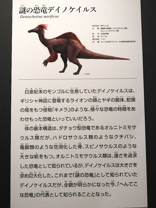 恐竜博7.jpg