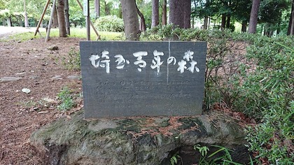 氷川公園1.JPG