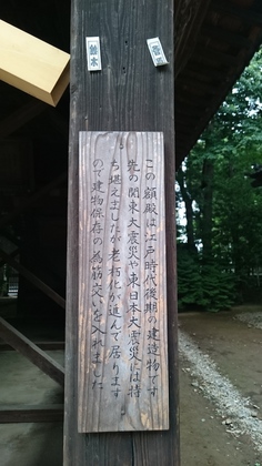 氷川神社9.jpg